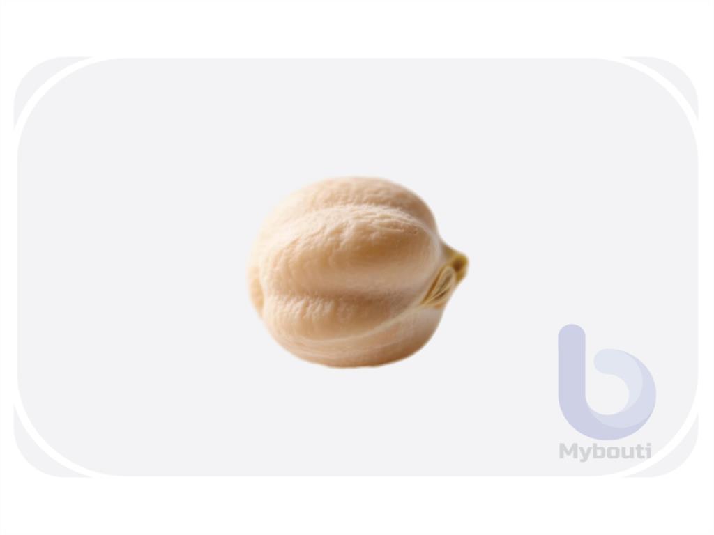 Pollo